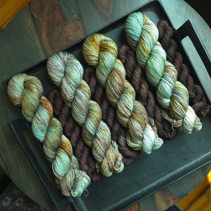 Sock Set- Da Vinci