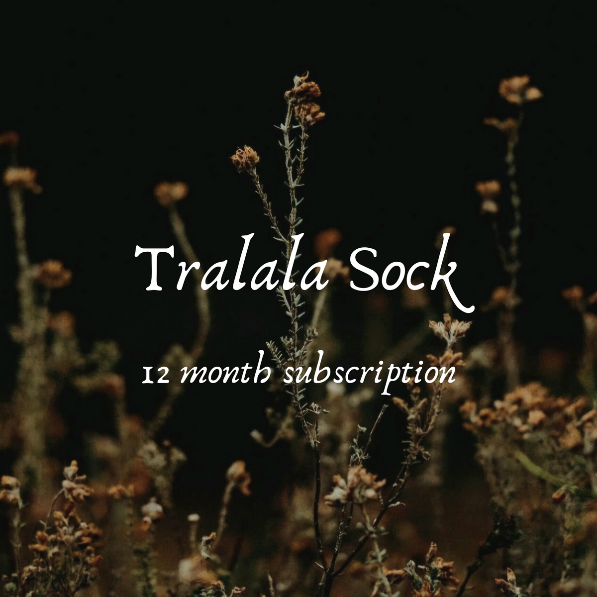 Tralala Sock- 12 Month subscription, Gothic color of the Month 2026