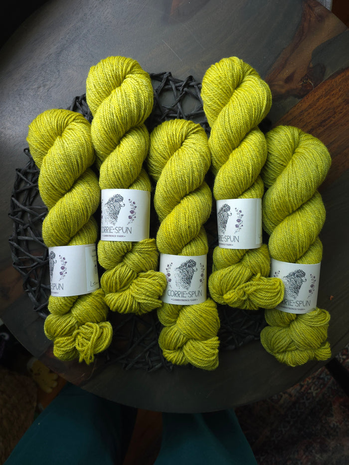 Corrie-Spun DK- Leafhopper