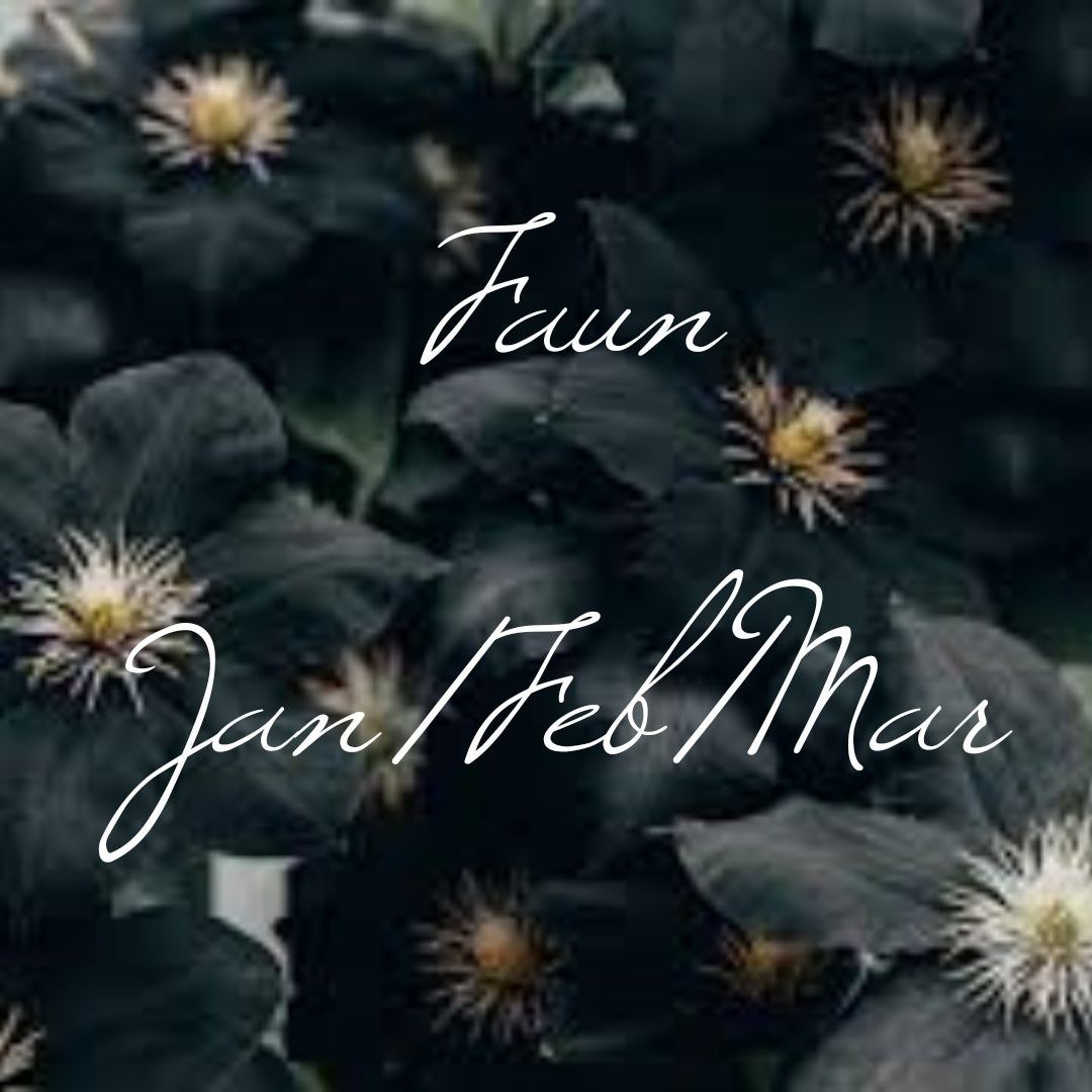 Faun- Jan/Feb/Mar Gothic color of the Month 2023